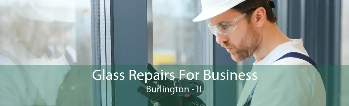 Glass Repairs For Business Burlington - IL