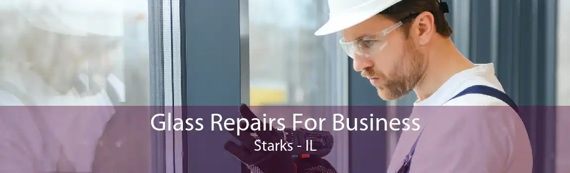 Glass Repairs For Business Starks - IL