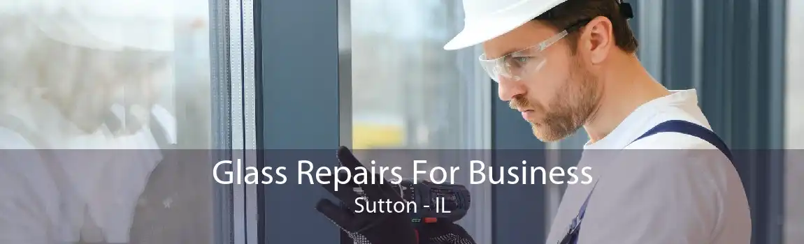 Glass Repairs For Business Sutton - IL