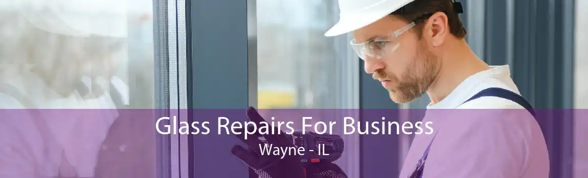 Glass Repairs For Business Wayne - IL