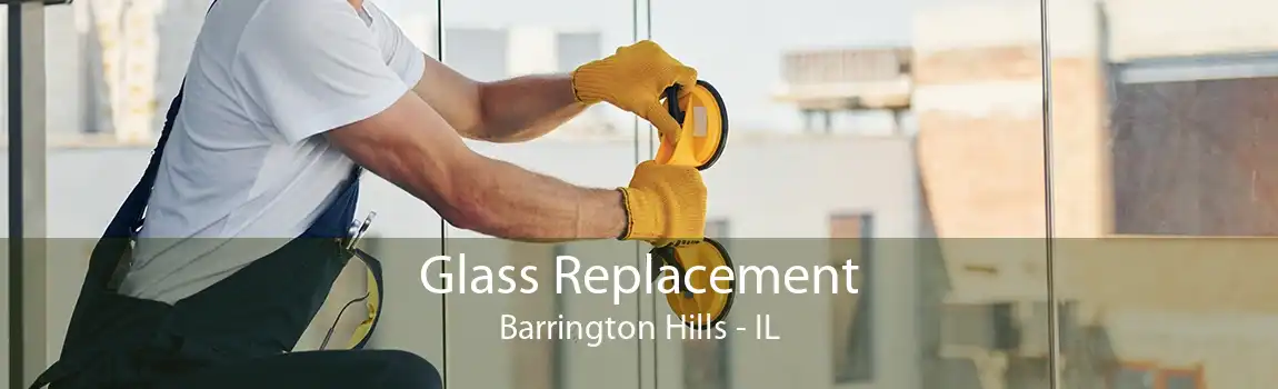 Glass Replacement Barrington Hills - IL