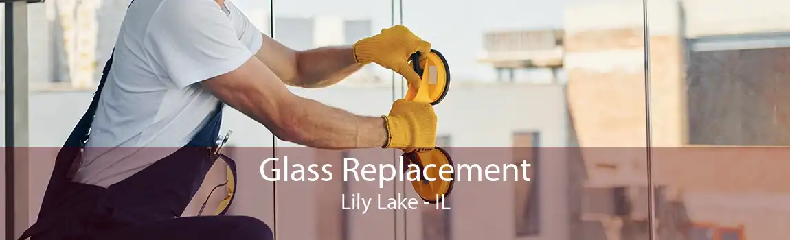 Glass Replacement Lily Lake - IL