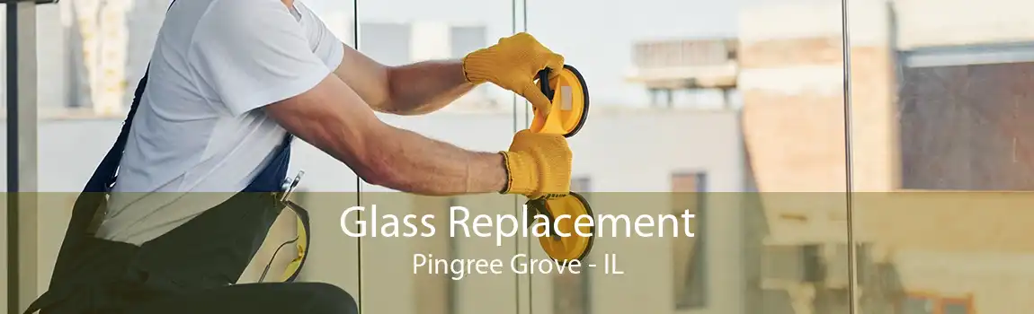 Glass Replacement Pingree Grove - IL