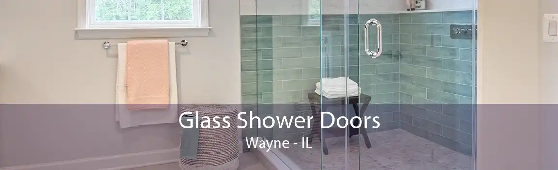 Glass Shower Doors Wayne - IL