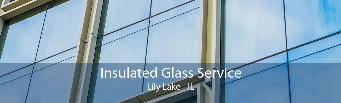 Insulated Glass Service Lily Lake - IL