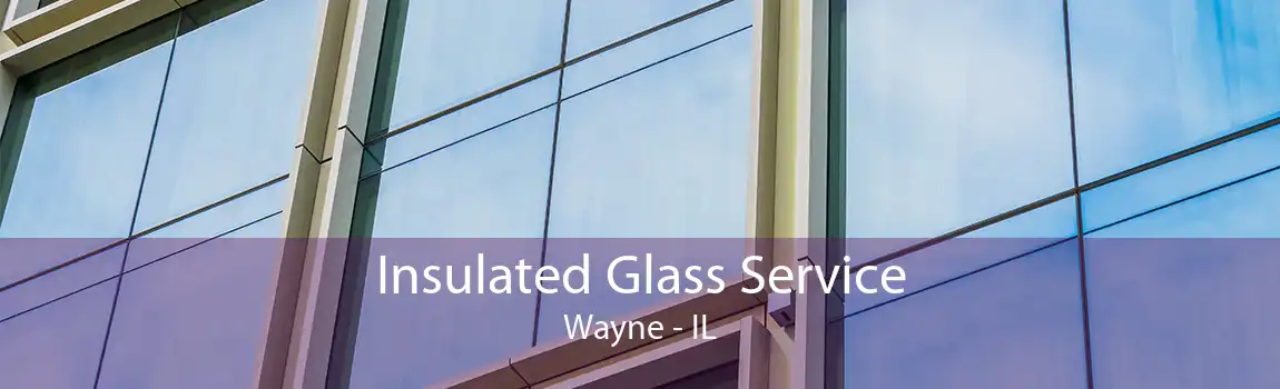 Insulated Glass Service Wayne - IL