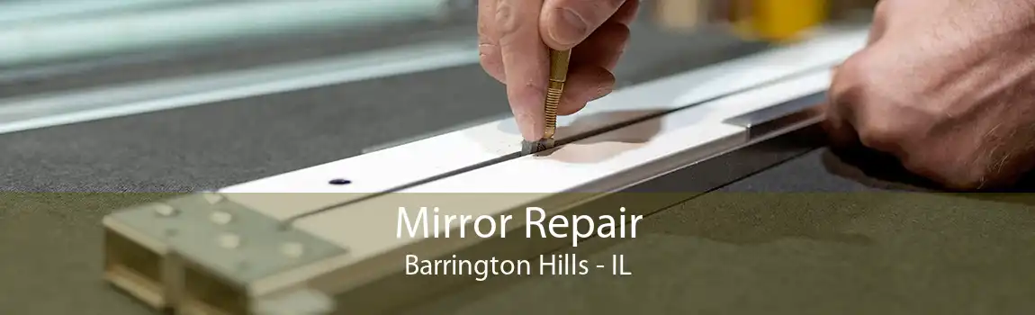 Mirror Repair Barrington Hills - IL