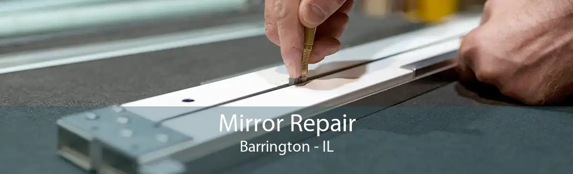 Mirror Repair Barrington - IL