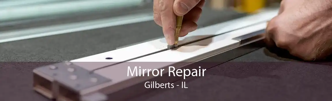 Mirror Repair Gilberts - IL