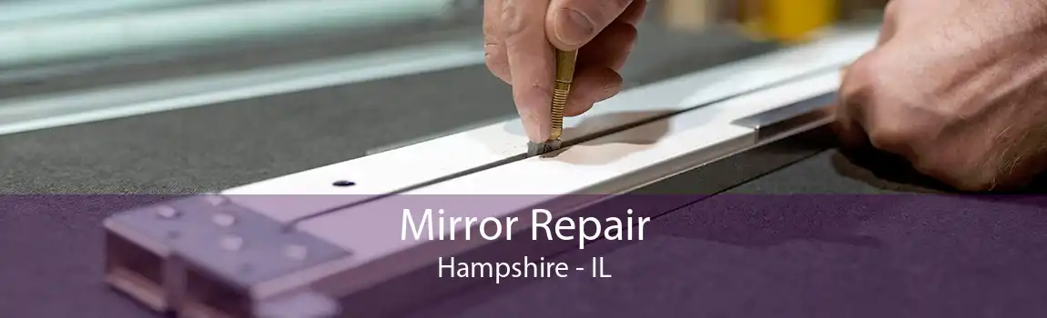 Mirror Repair Hampshire - IL