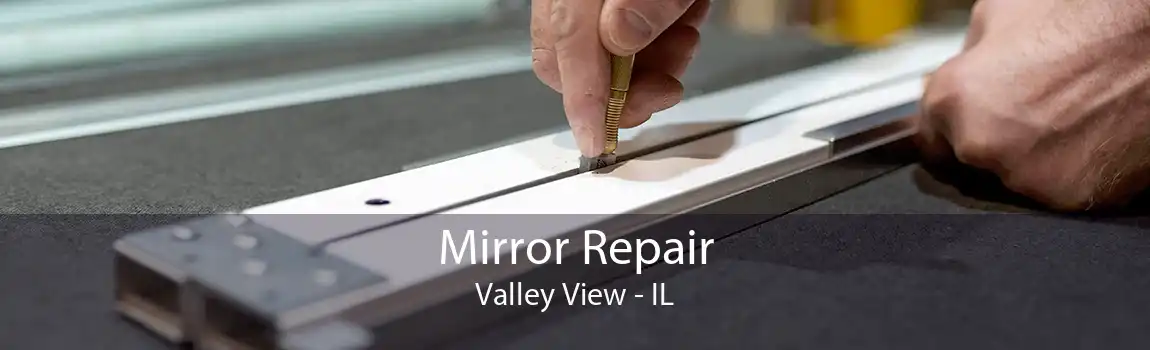 Mirror Repair Valley View - IL