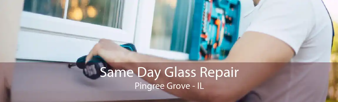 Same Day Glass Repair Pingree Grove - IL