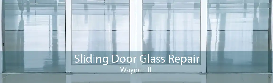 Sliding Door Glass Repair Wayne - IL