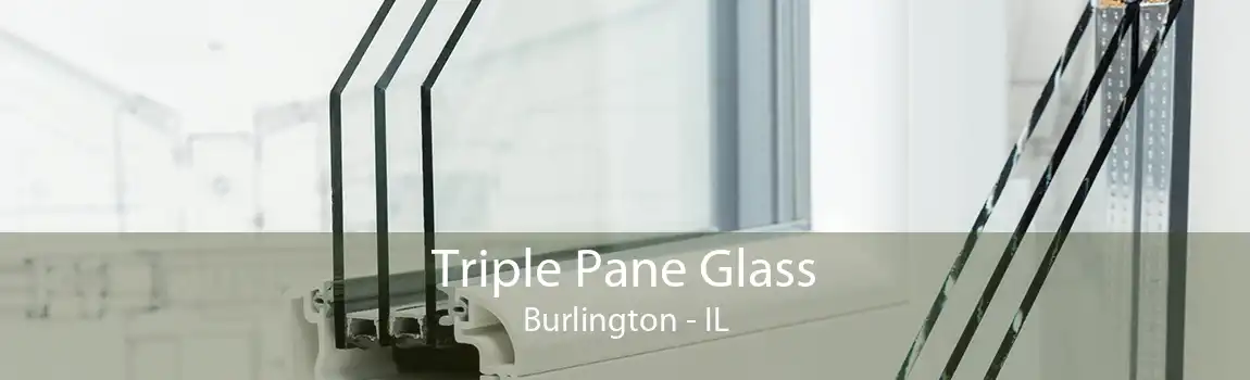 Triple Pane Glass Burlington - IL