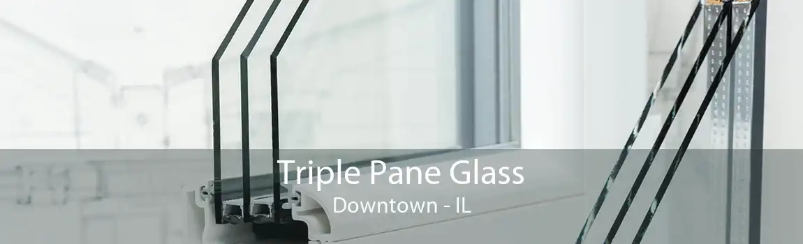 Triple Pane Glass Downtown - IL