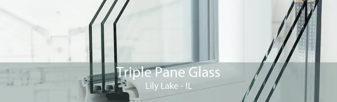 Triple Pane Glass Lily Lake - IL