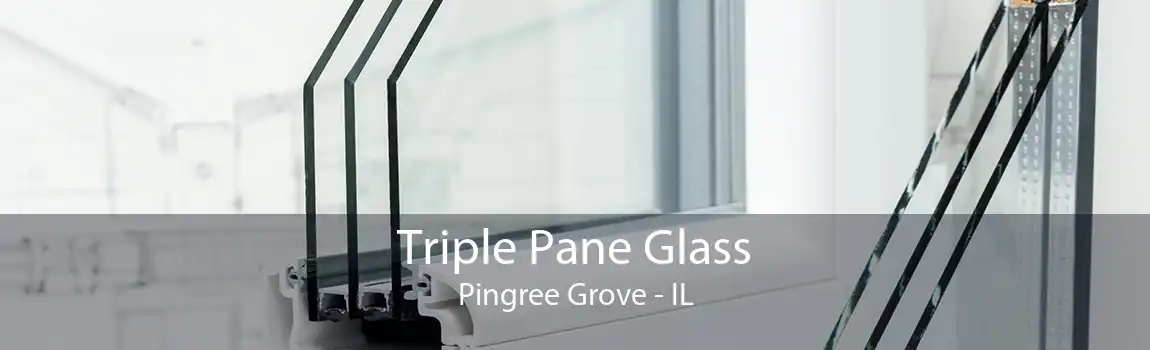 Triple Pane Glass Pingree Grove - IL