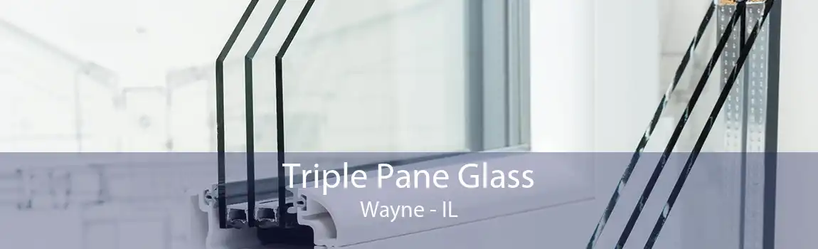 Triple Pane Glass Wayne - IL