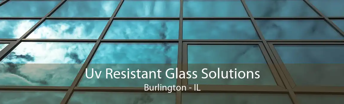 Uv Resistant Glass Solutions Burlington - IL