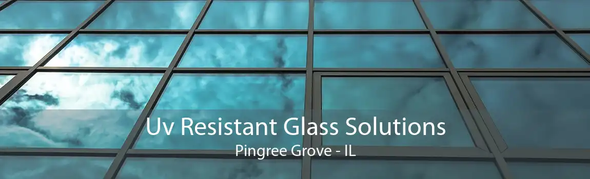 Uv Resistant Glass Solutions Pingree Grove - IL