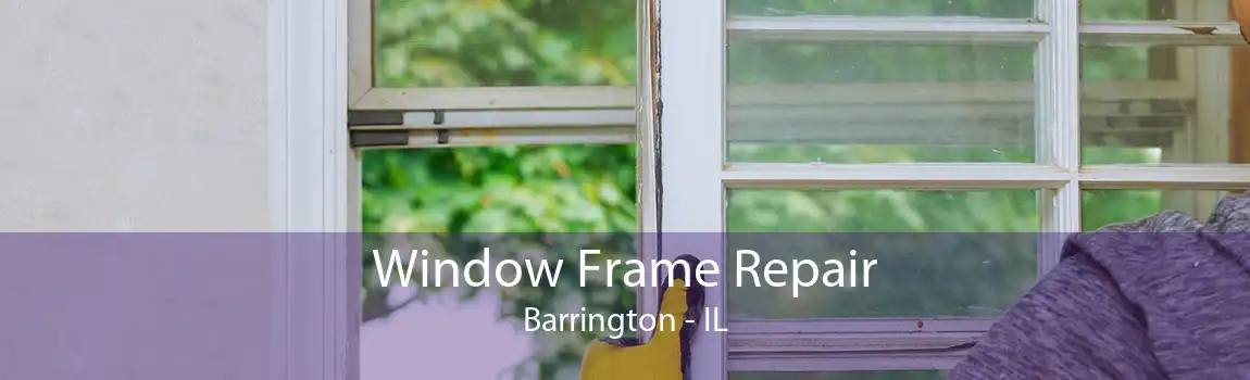 Window Frame Repair Barrington - IL