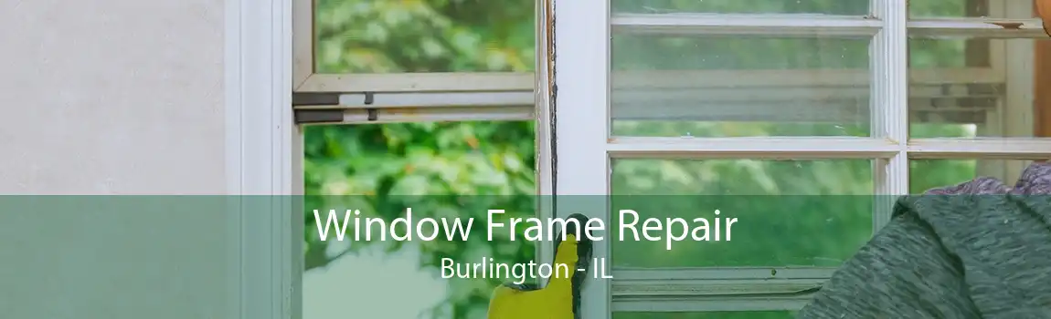 Window Frame Repair Burlington - IL