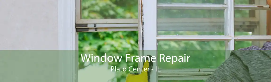 Window Frame Repair Plato Center - IL