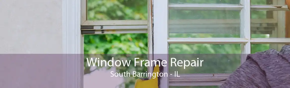 Window Frame Repair South Barrington - IL