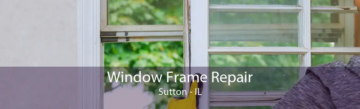 Window Frame Repair Sutton - IL