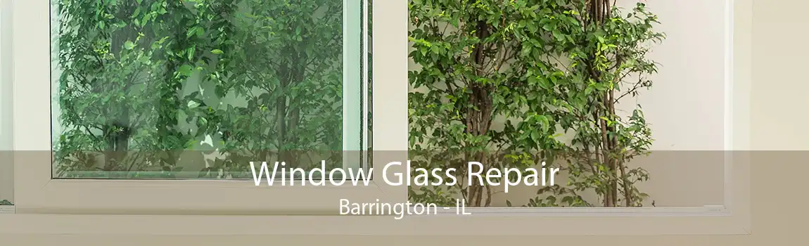 Window Glass Repair Barrington - IL