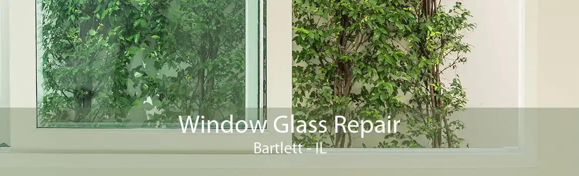 Window Glass Repair Bartlett - IL