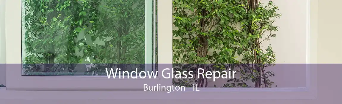 Window Glass Repair Burlington - IL