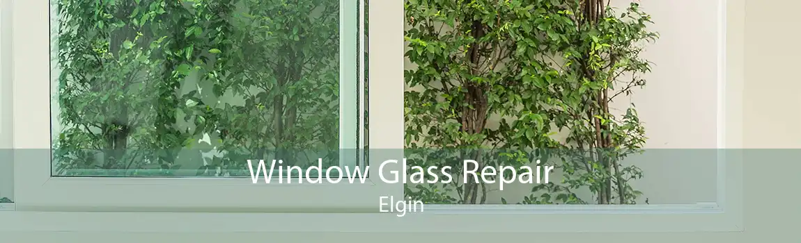 Window Glass Repair Elgin