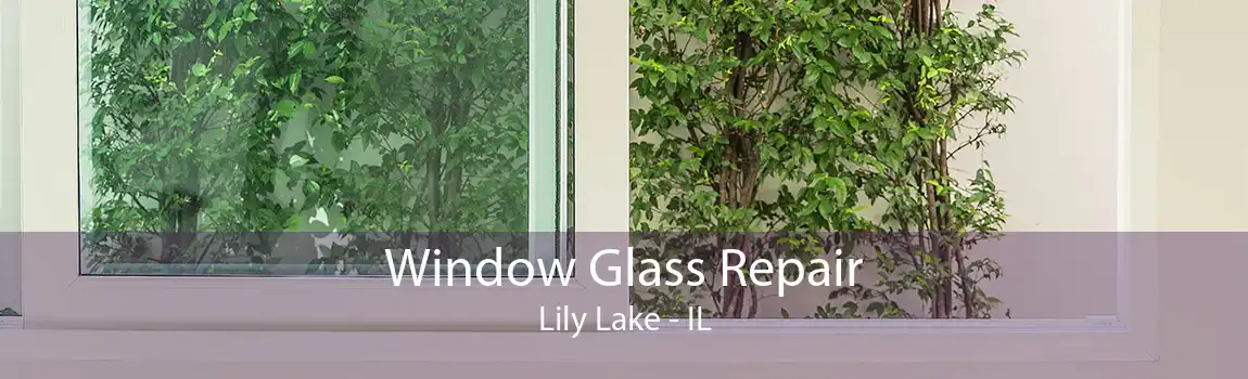 Window Glass Repair Lily Lake - IL