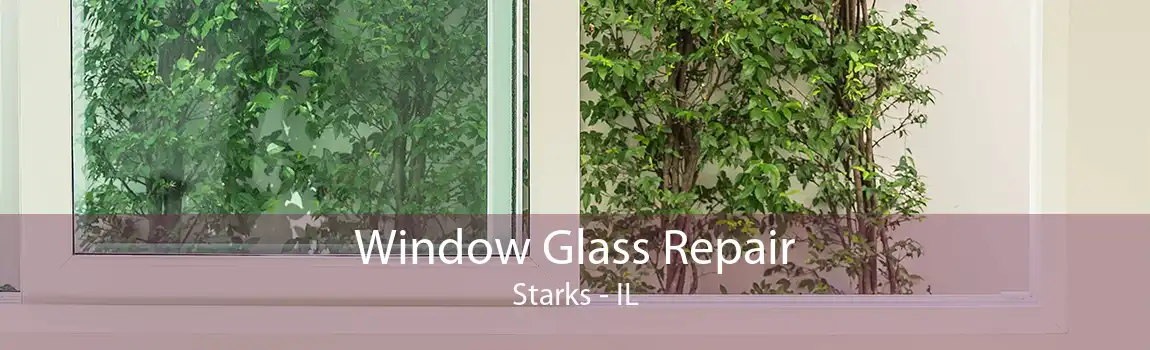 Window Glass Repair Starks - IL