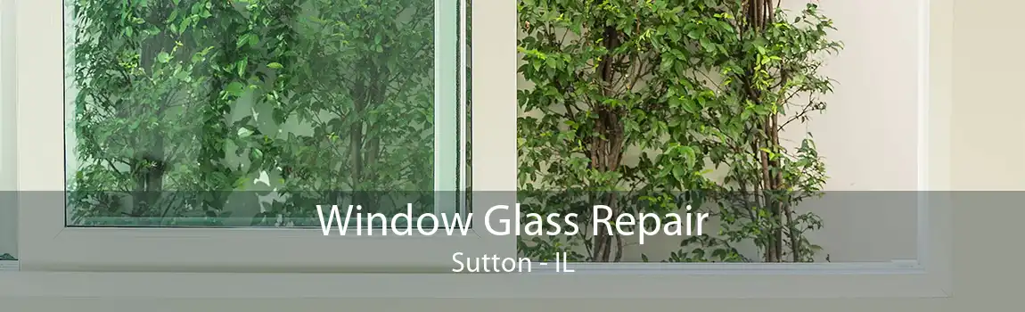 Window Glass Repair Sutton - IL