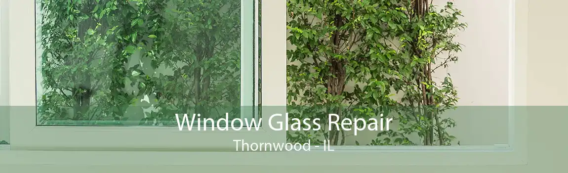 Window Glass Repair Thornwood - IL