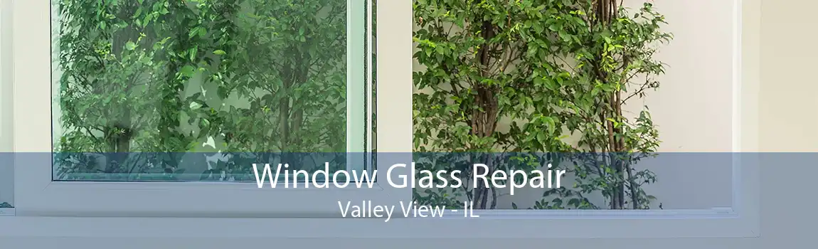 Window Glass Repair Valley View - IL