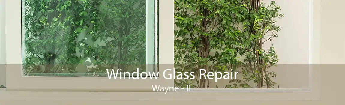 Window Glass Repair Wayne - IL