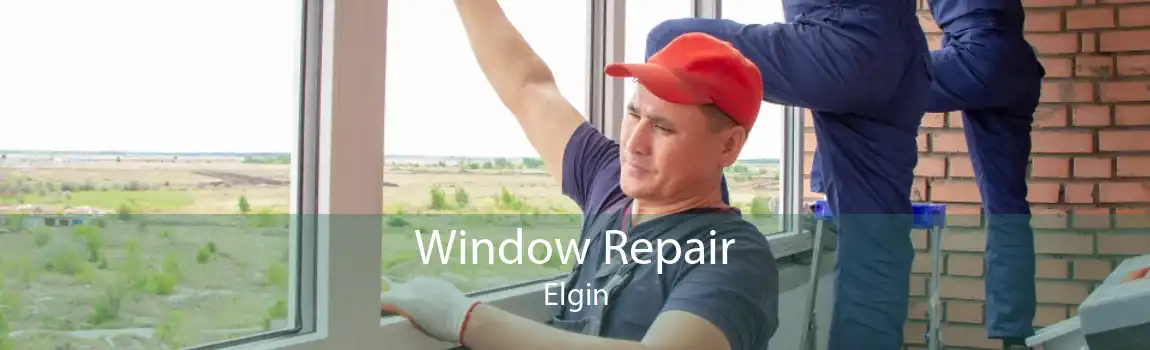 Window Repair Elgin