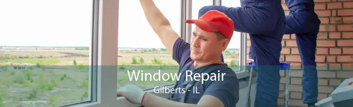 Window Repair Gilberts - IL