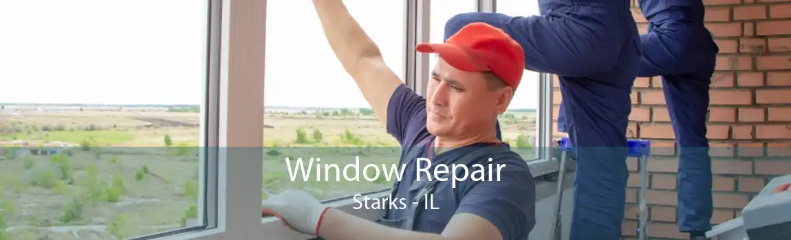 Window Repair Starks - IL