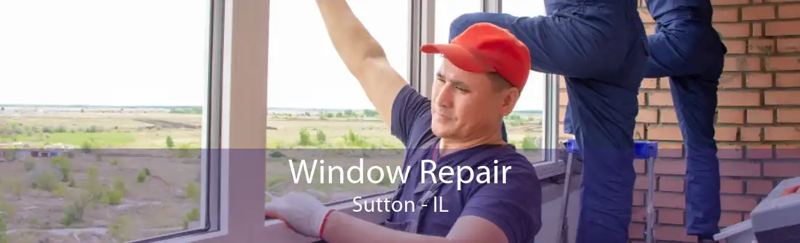 Window Repair Sutton - IL