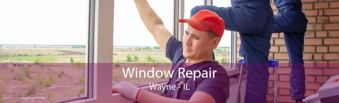 Window Repair Wayne - IL