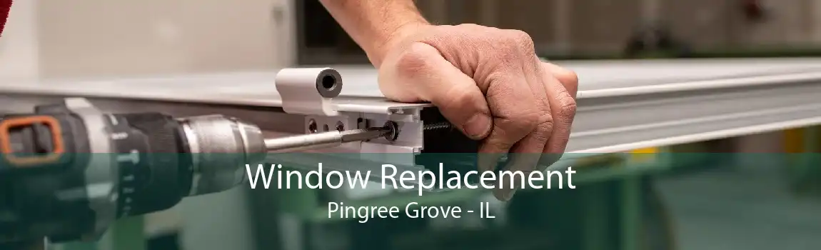 Window Replacement Pingree Grove - IL