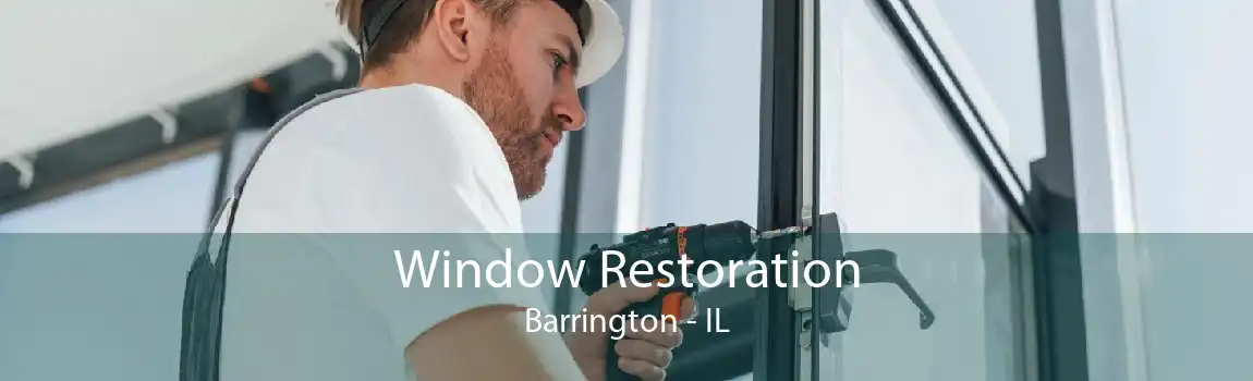 Window Restoration Barrington - IL