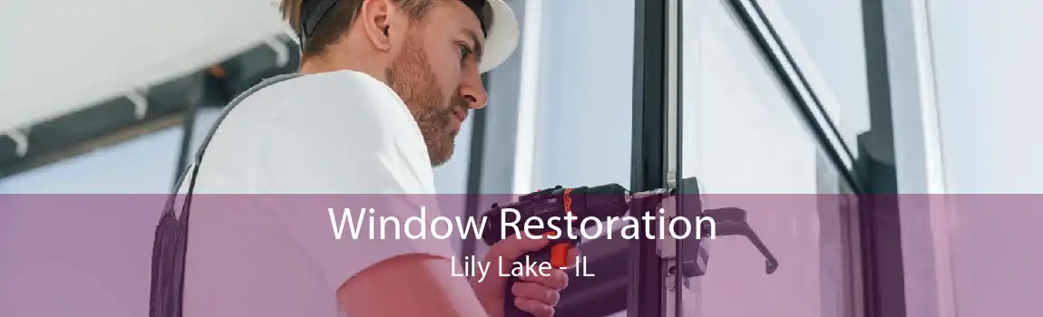 Window Restoration Lily Lake - IL