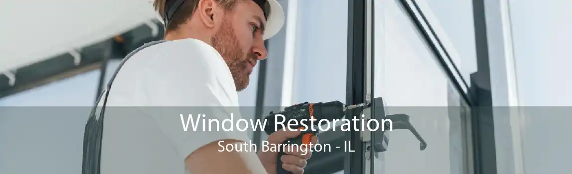 Window Restoration South Barrington - IL