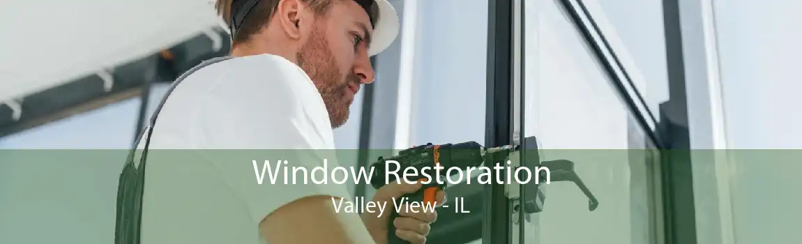 Window Restoration Valley View - IL