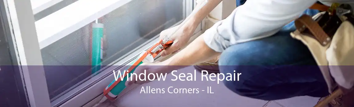 Window Seal Repair Allens Corners - IL